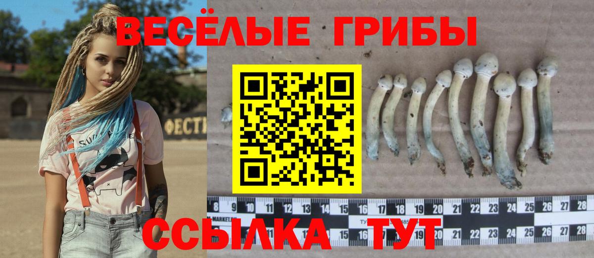 Галлюциногенные грибы Magic Shrooms Кыштым